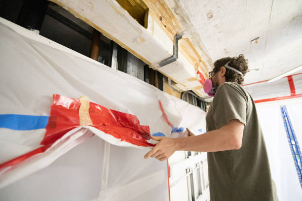 Professional Mold Removal in Mary Esther, FL